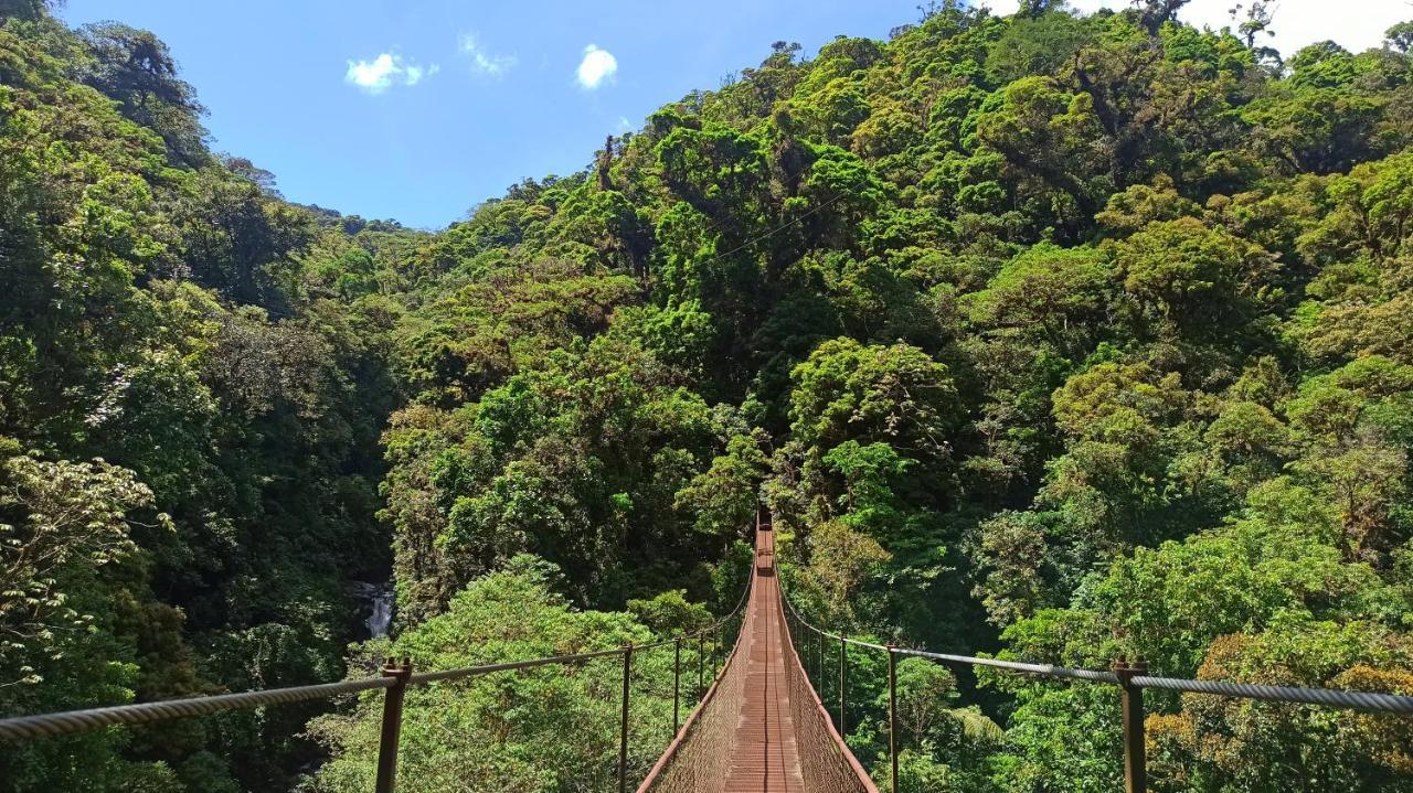 repentino Árbol de tochi Tropical HOTEL TREE TREK BOQUETE ADVENTURE PARK BAJO BOQUETE 3* (Panamá) - desde 130  € | HOTELMIX
